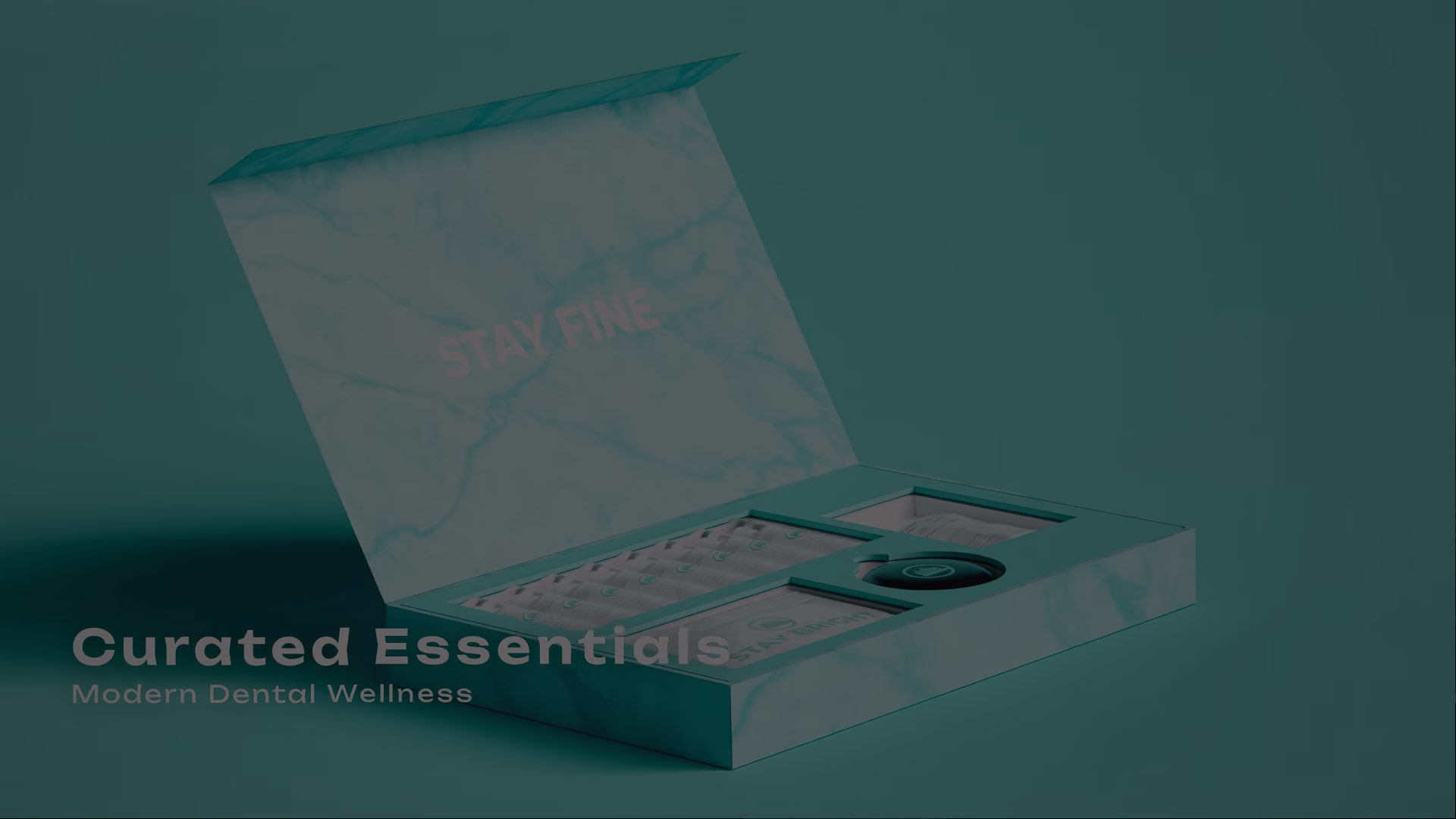 Stay Insurance — Motion & 3D